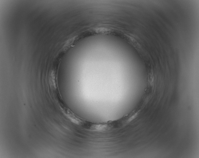 X0000080660575200701050946