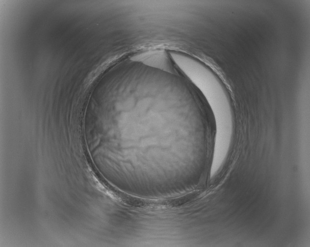 X0000080660577200701050945