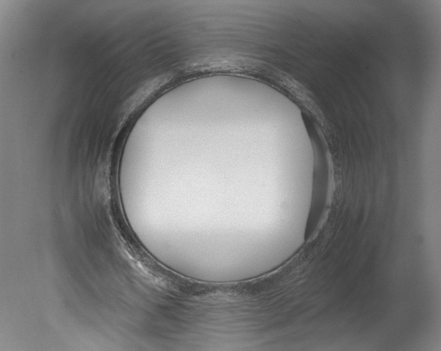 X0000080660578200701050945