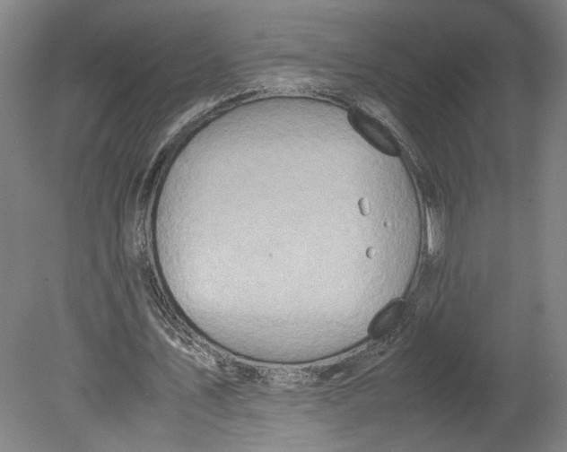 X0000080660579200701050945