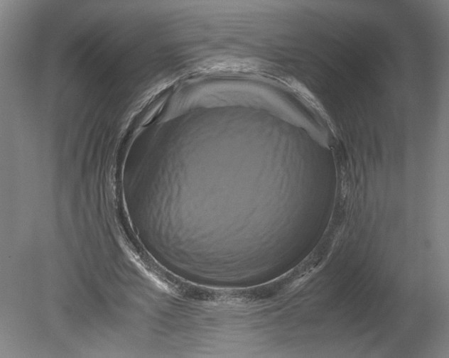 X0000080660581200701050945