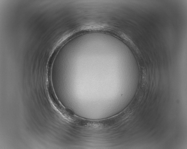 X0000080660582200701050945