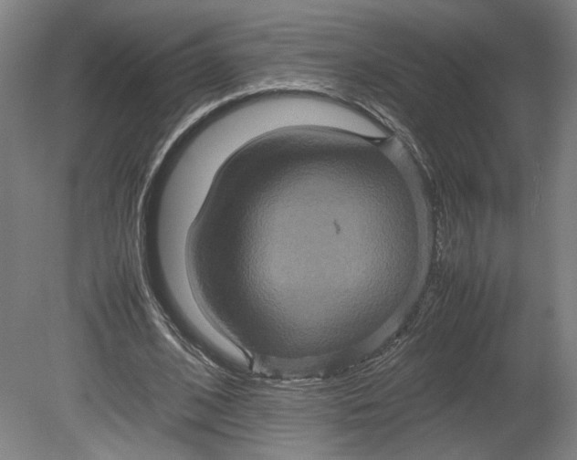 X0000080660584200701050945