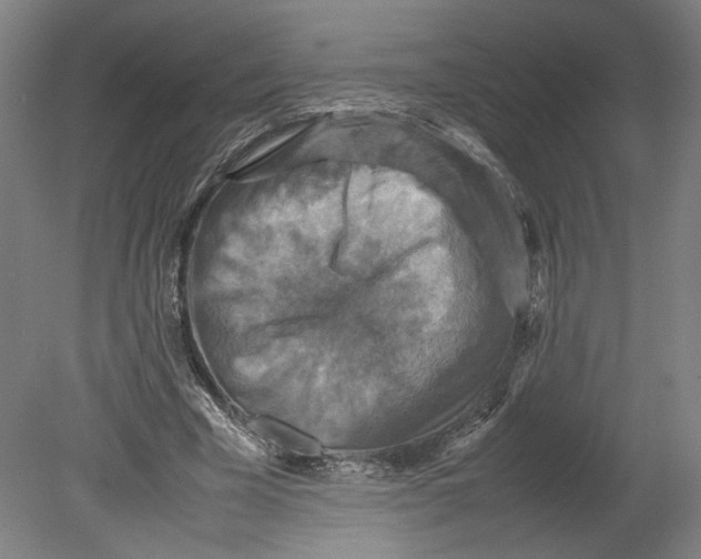 X0000080660585200701050945