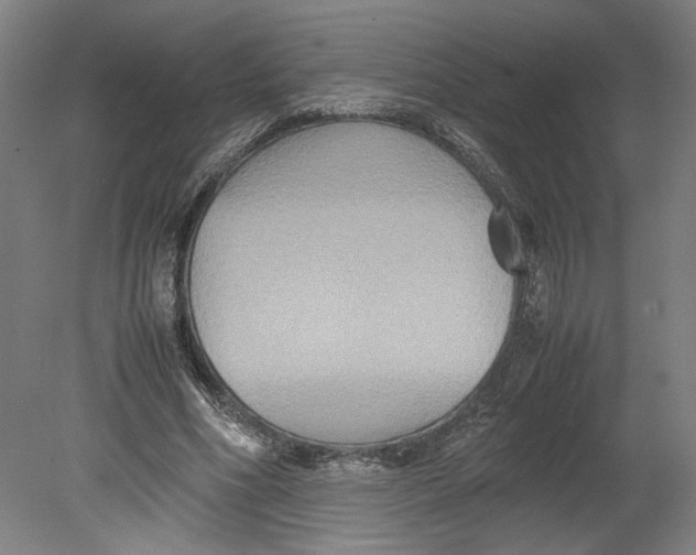 X0000080660586200701050945