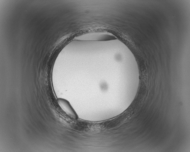 X0000080660587200701050945