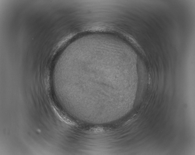 X0000080660588200701050945