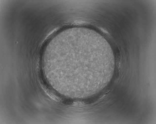 X0000080660591200701050945