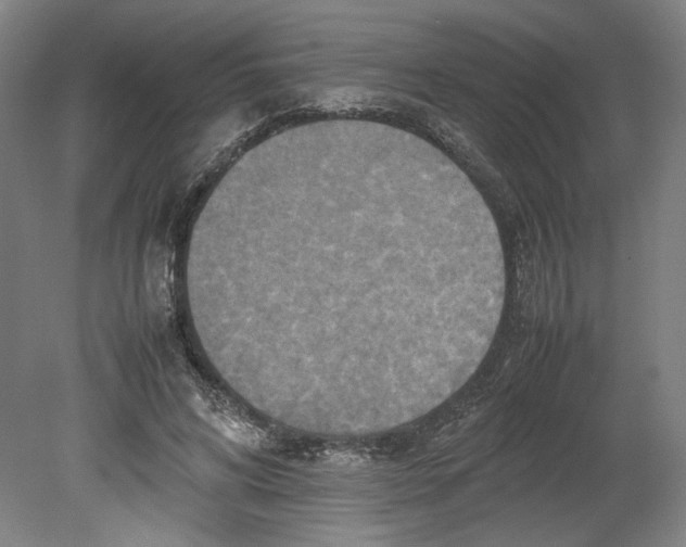 X0000080660592200701050945