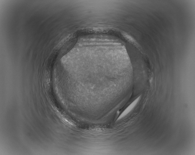 X0000080660593200701050945