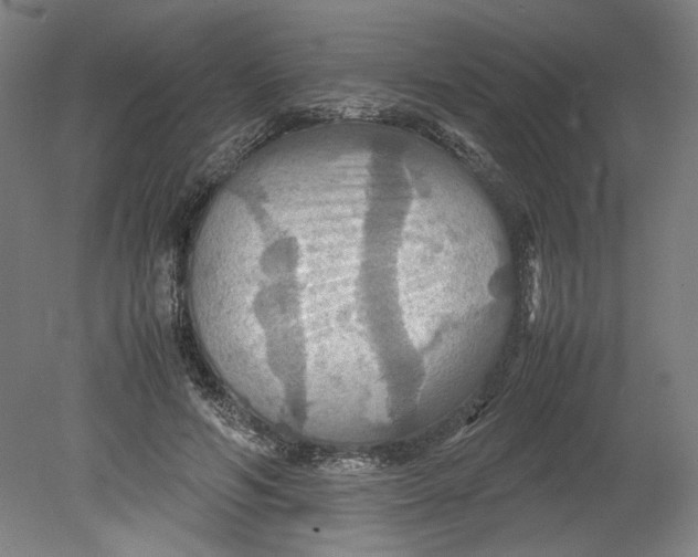 X0000080660594200701050945