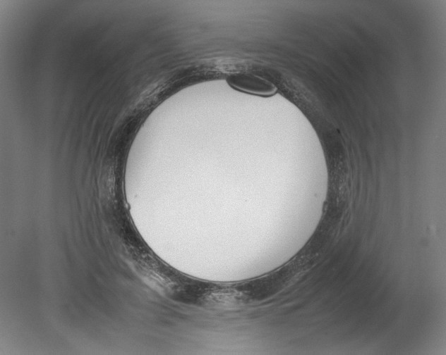 X0000080660595200701050945