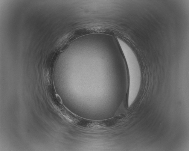 X0000080660597200701050945