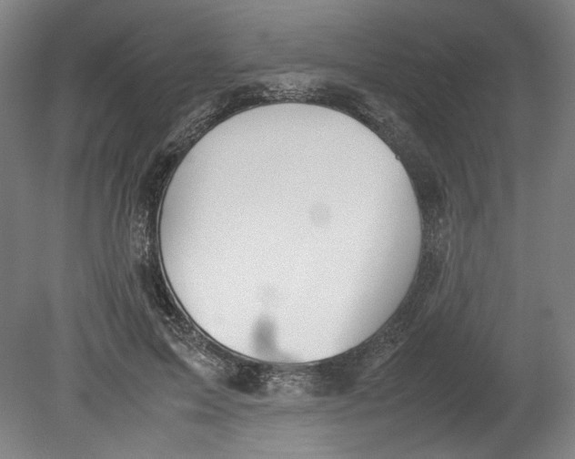 X0000080660599200701050944