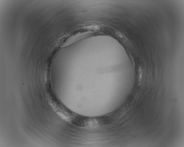 X0000080660600200701050944