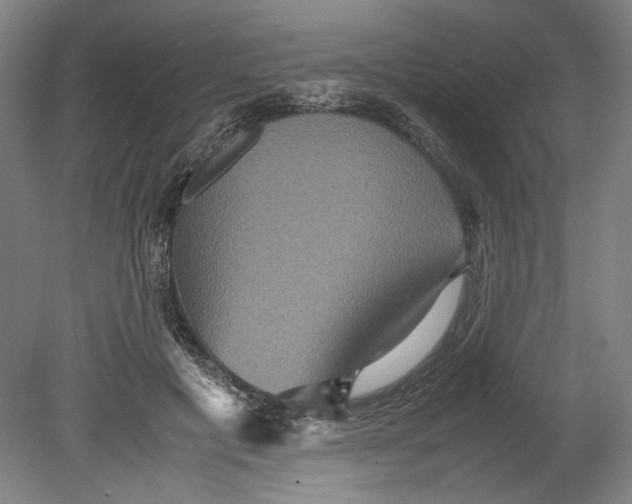 X0000080660601200701050944