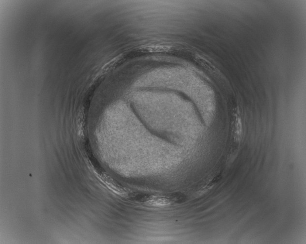 X0000080660604200701050944