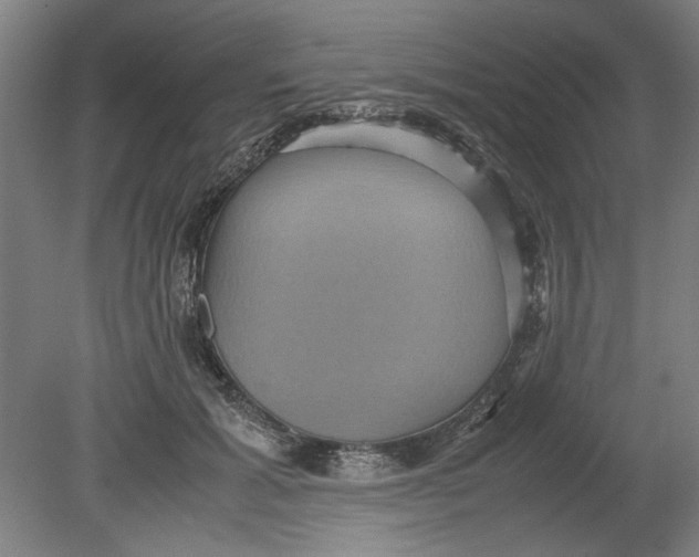 X0000080660605200701050944