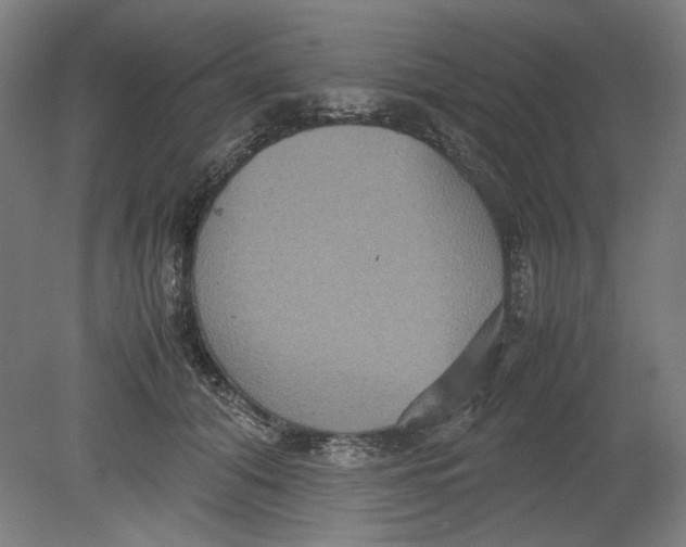 X0000080660608200701050944