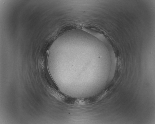 X0000080660613200701050944