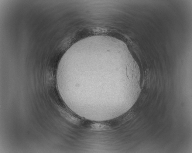 X0000080660614200701050944