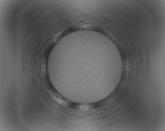 X0000080660615200701050944