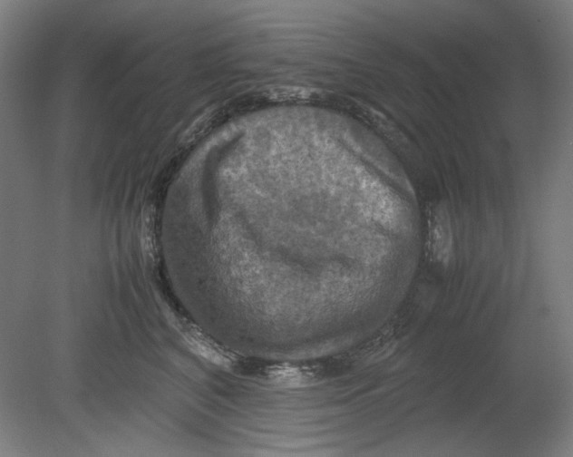 X0000080660616200701050944