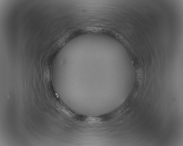 X0000080660617200701050944