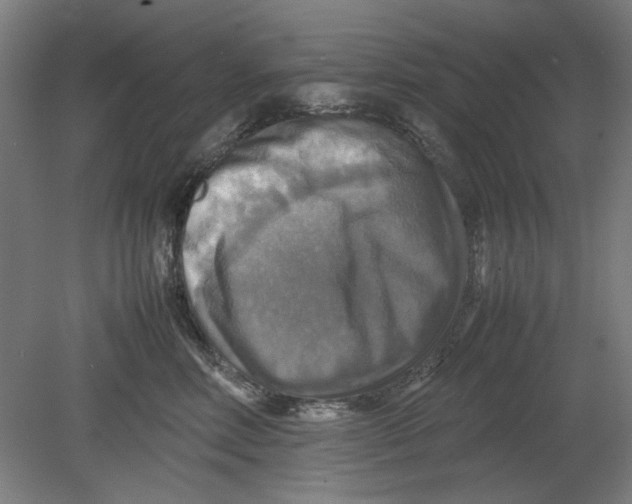 X0000080660618200701050944