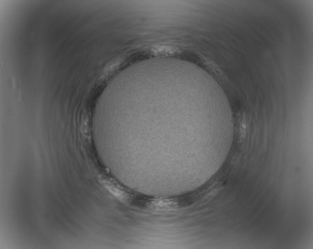 X0000080660619200701050944