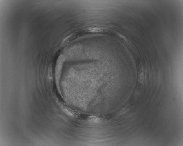 X0000080660620200701050944