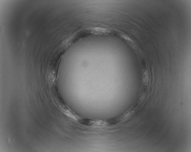 X0000080660621200701050944