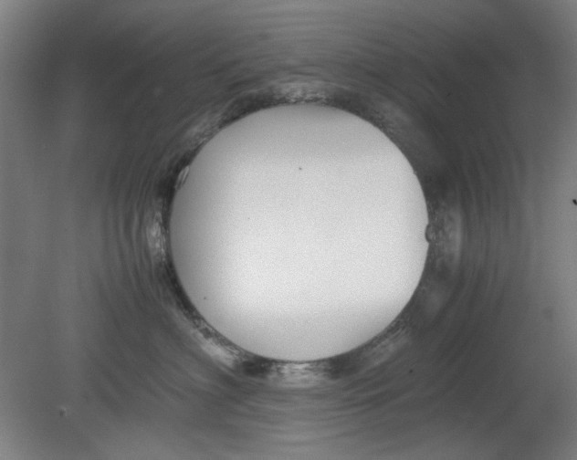 X0000080660622200701050944