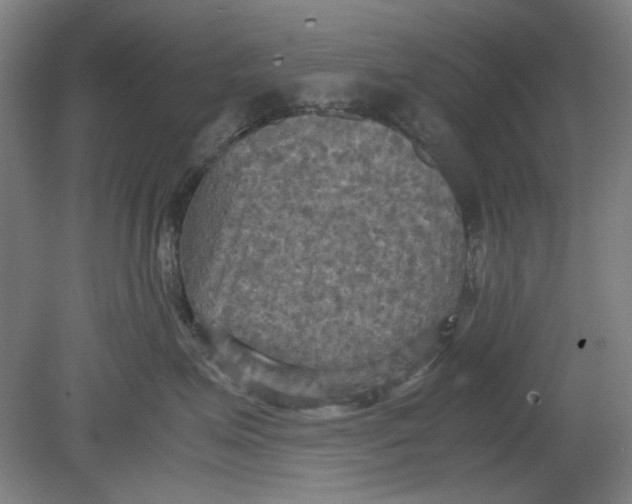 X0000080660623200701050944