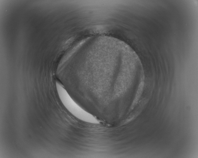 X0000080660624200701050944