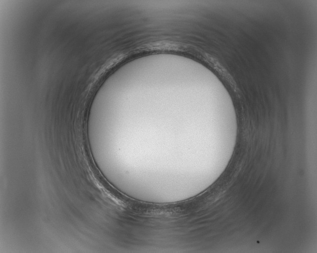 X0000080660625200701050943