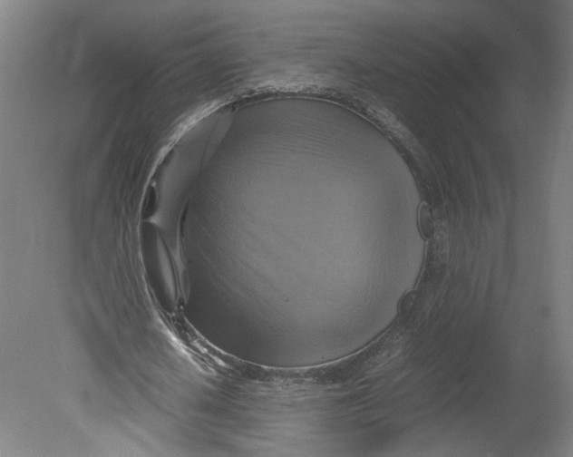 X0000080660626200701050943