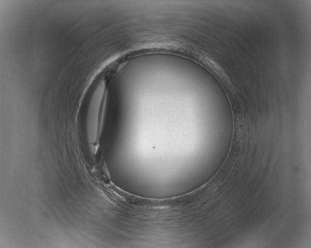 X0000080660628200701050943