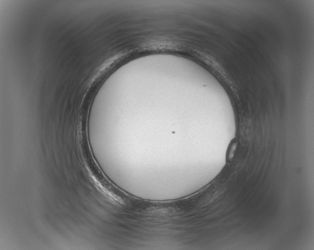 X0000080660629200701050943