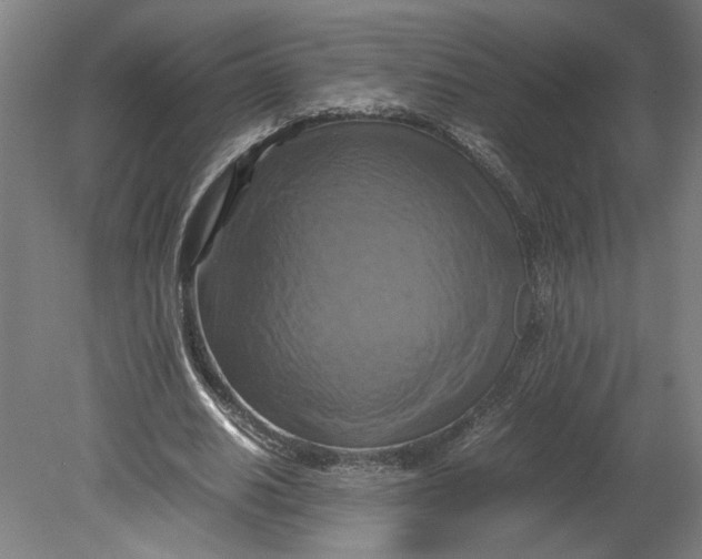 X0000080660630200701050943