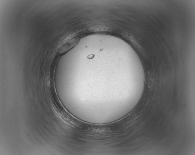 X0000080660631200701050943