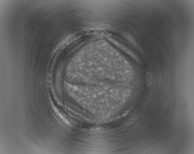 X0000080660634200701050943