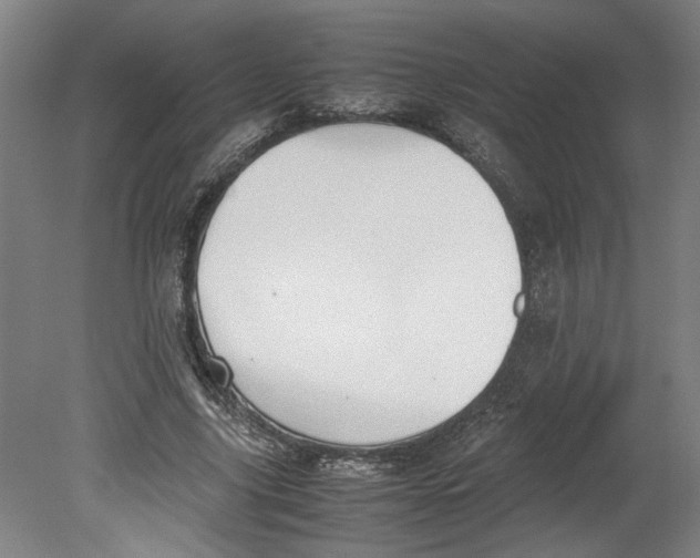 X0000080660635200701050943