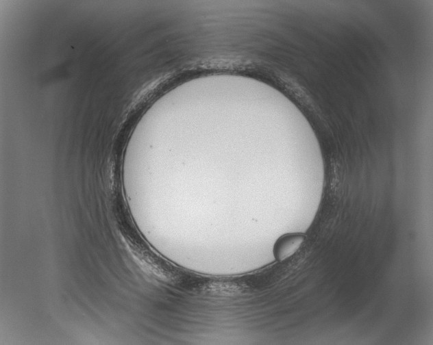 X0000080660636200701050943