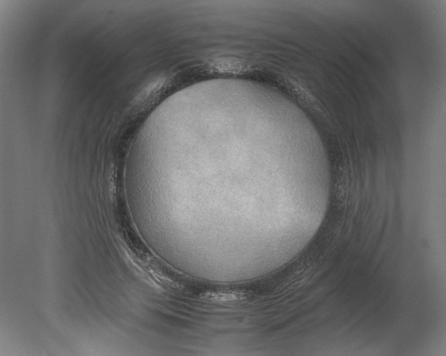 X0000080660639200701050944