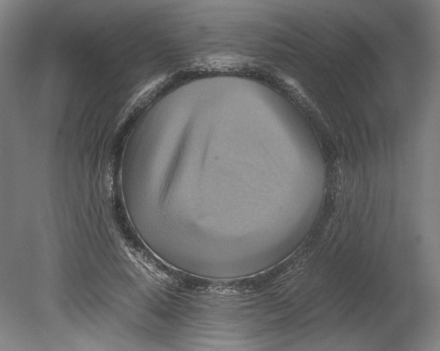 X0000080660640200701050944