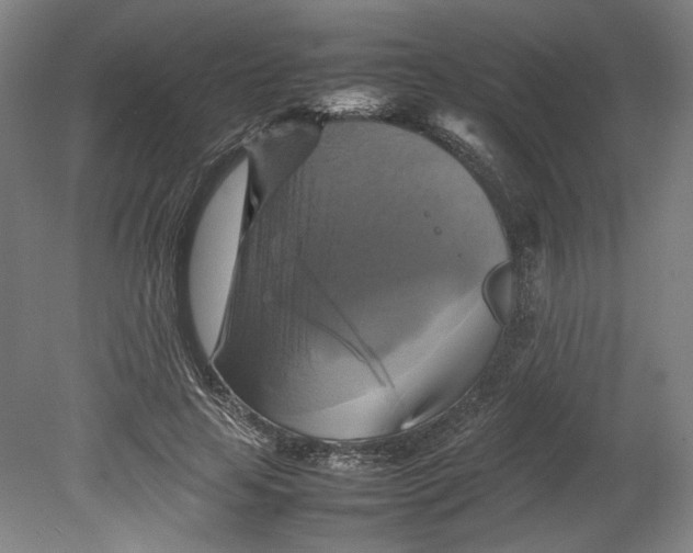 X0000080660641200701050944