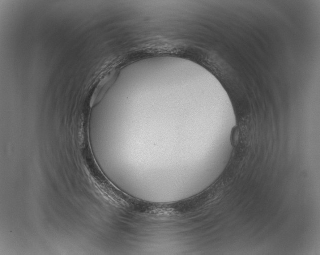 X0000080660642200701050944