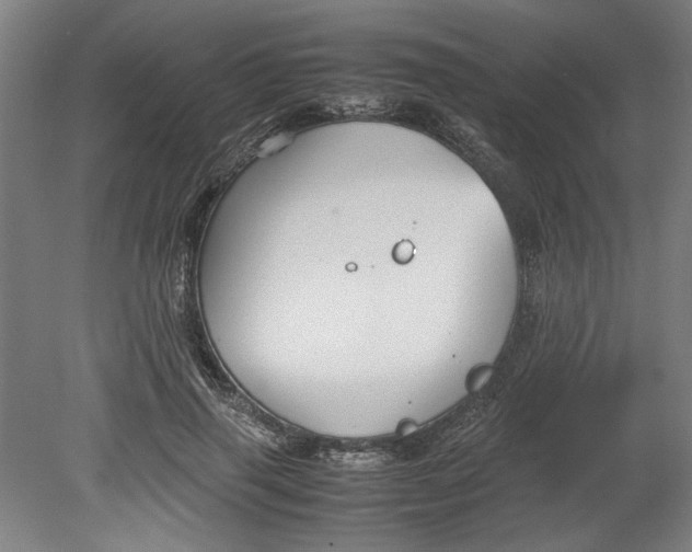 X0000080660645200701050944