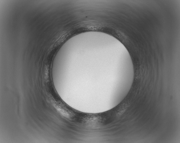 X0000080660646200701050944